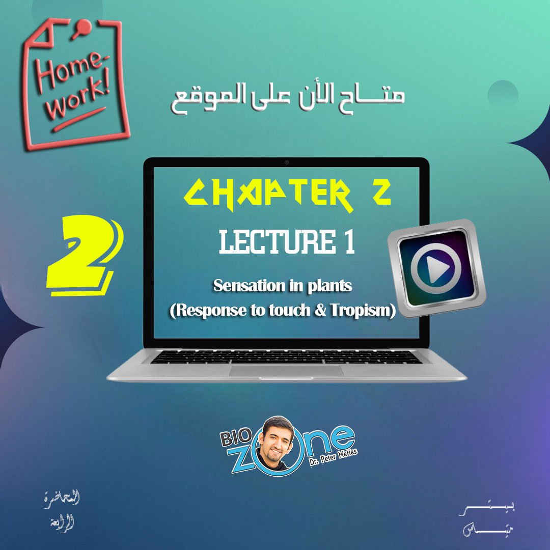 2025 - 2 - الاسبوع الرابع - الواجب
